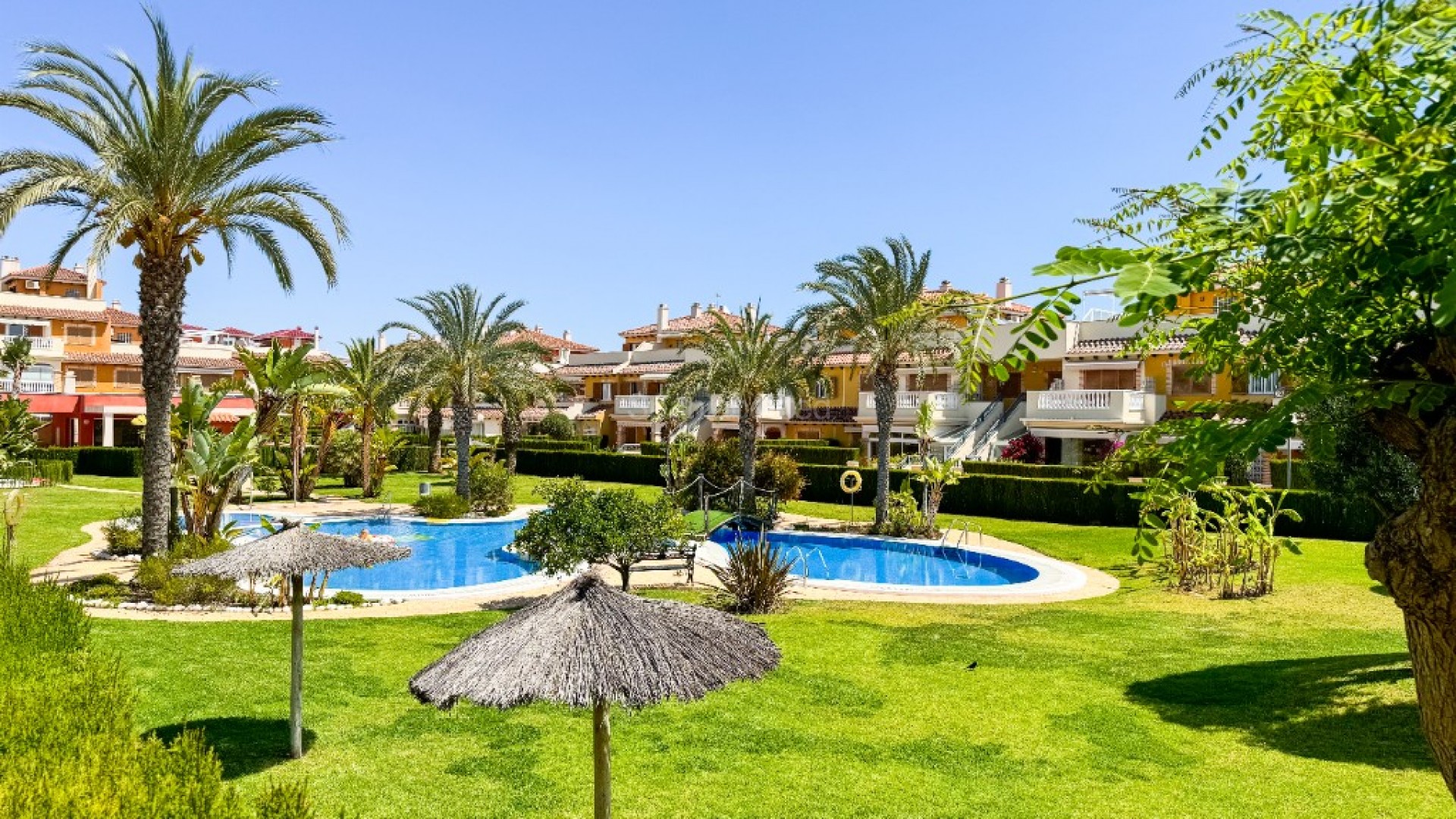 Alquiler a corto plazo - Apartamento -
Playa Flamenca - Zeniamar