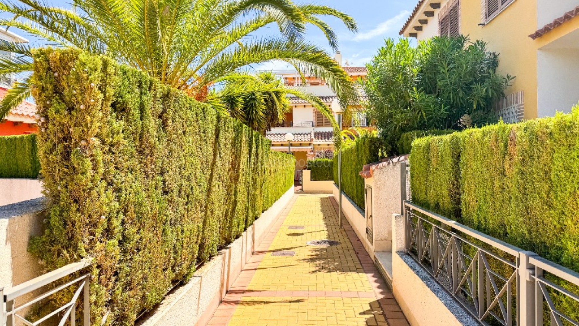 Alquiler a corto plazo - Apartamento -
Playa Flamenca - Zeniamar