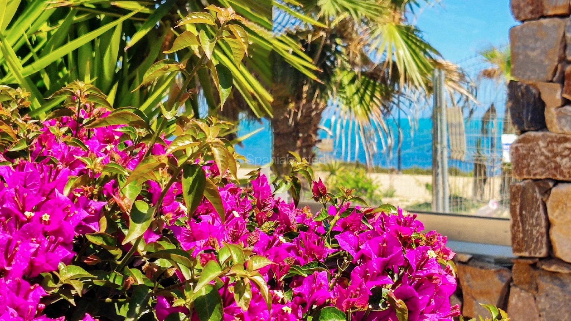 Alquiler a corto plazo - Apartamento -
Punta Prima