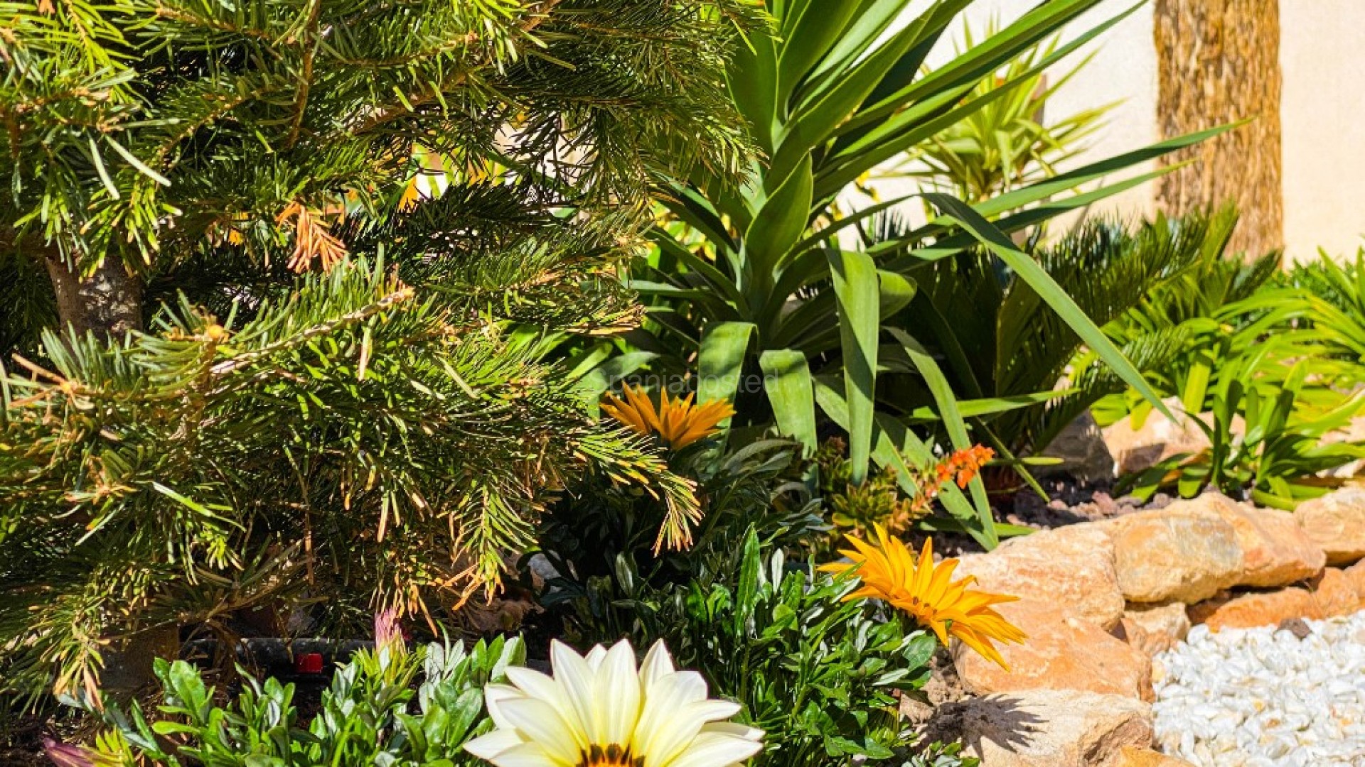 Alquiler a corto plazo - Apartamento -
Punta Prima