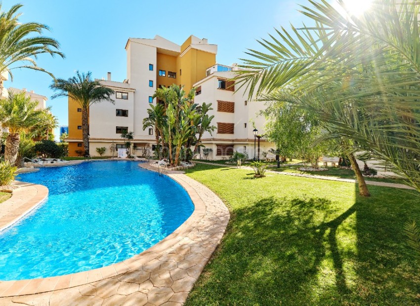 Alquiler a corto plazo - Apartamento -
Punta Prima