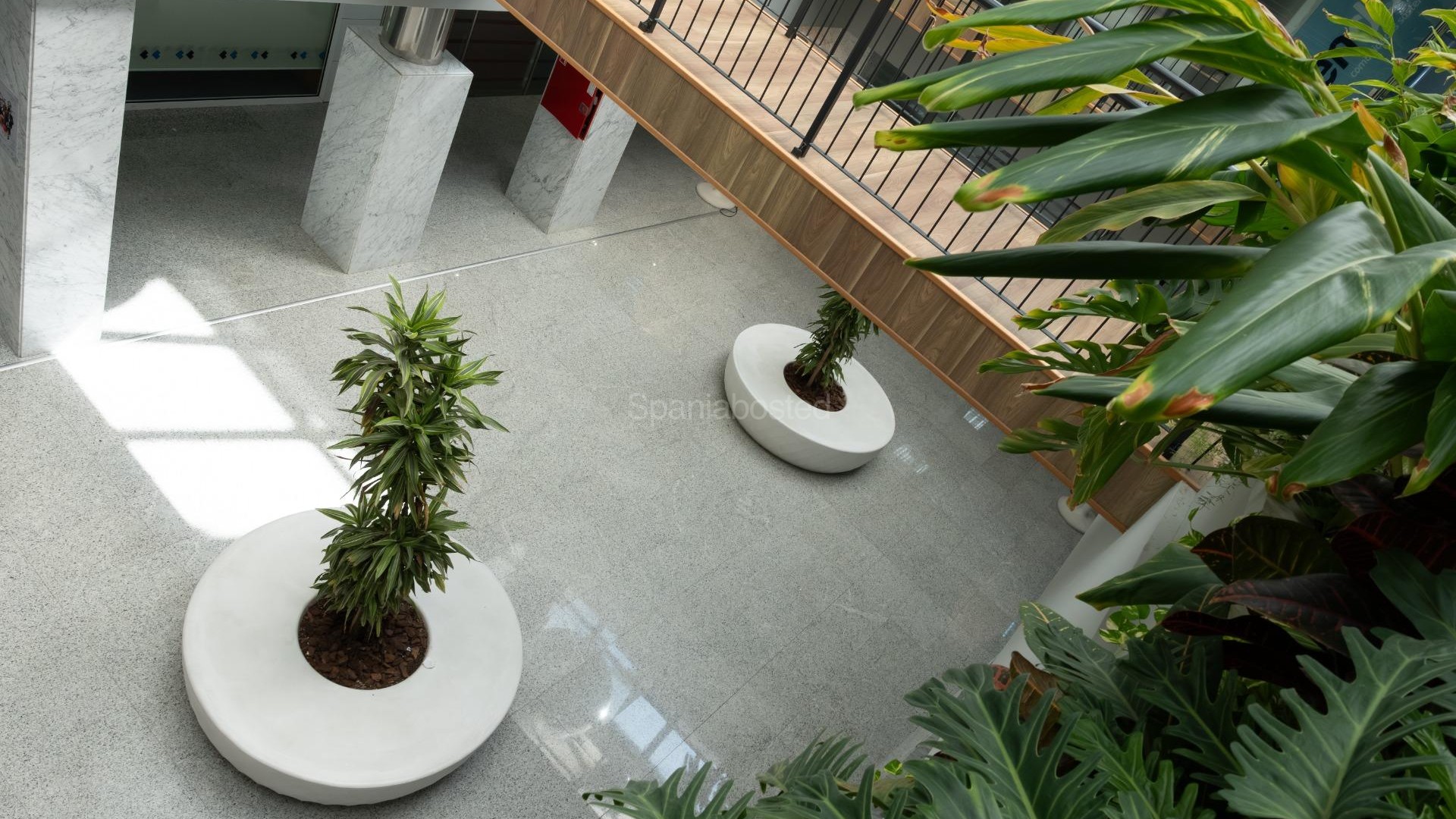 Alquiler a largo plazo - Local comercial -
Orihuela Costa - Playa Flamenca