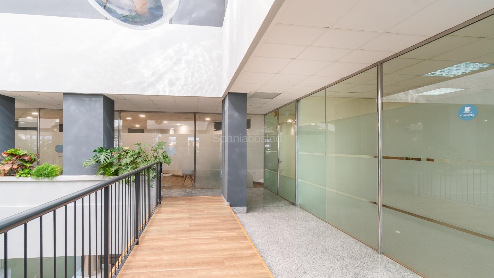 Alquiler a largo plazo - Local comercial -
Orihuela Costa - Playa Flamenca