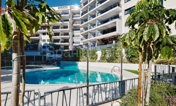 Apartamento - Segunda mano - Dehesa de campoamor - Campoamor
