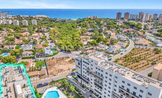 Apartamento - Segunda mano - Dehesa de campoamor - Campoamor