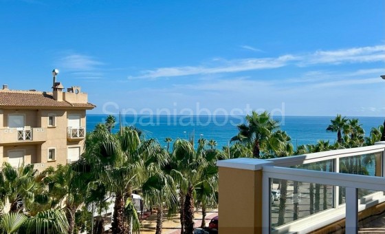 Apartamento - Segunda mano - Orihuela Costa - Aguamarina