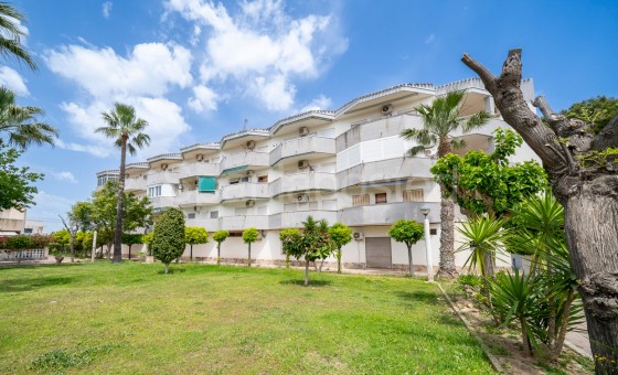 Apartamento - Segunda mano - Orihuela Costa - Cabo Roig