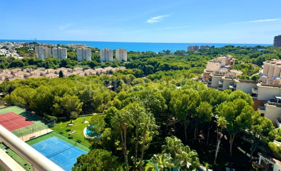 Apartamento - Segunda mano - Orihuela Costa - Campoamor