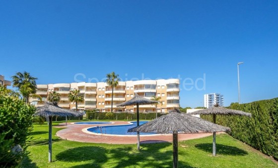 Apartamento - Segunda mano - Orihuela Costa - Campoamor