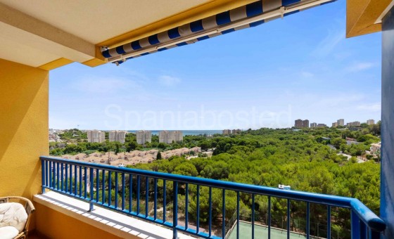 Apartamento - Segunda mano - Orihuela Costa - Campoamor