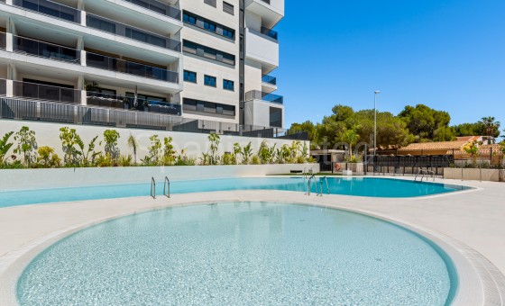 Apartamento - Segunda mano - Orihuela Costa - Campoamor