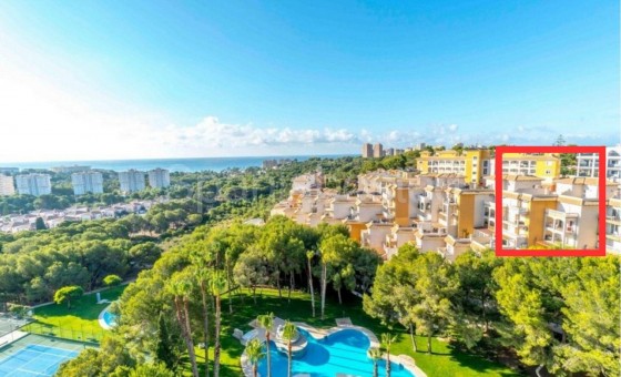 Apartamento - Segunda mano - Orihuela Costa - Campoamor