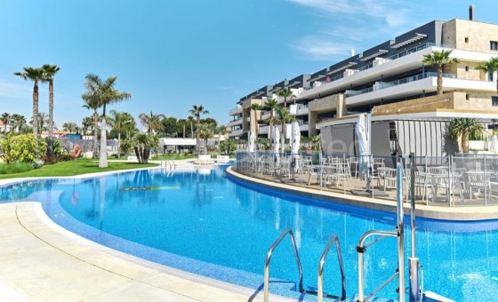 Apartamento - Segunda mano - Orihuela Costa - Playa Flamenca