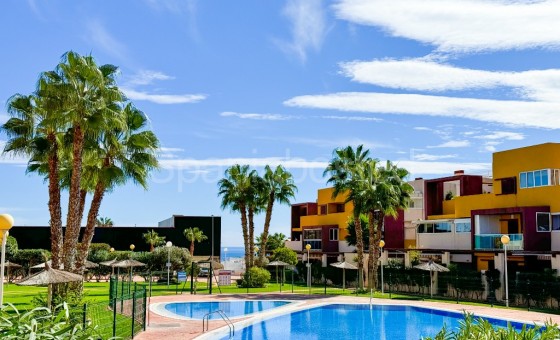 Apartamento - Segunda mano - Playa Flamenca - Playa Flamenca