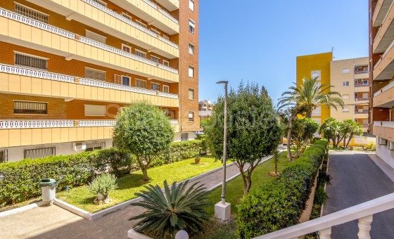 Apartamento - Segunda mano - Punta Prima - Punta Prima