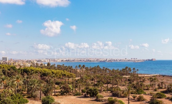 Apartamento - Segunda mano - Punta Prima - Punta Prima