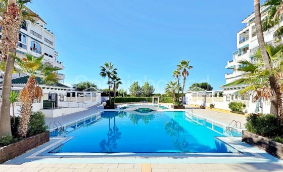 Apartamento - Segunda mano - Torrevieja -
                La Mata