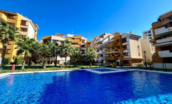 Apartamento - Segunda mano - Torrevieja - Punta Prima