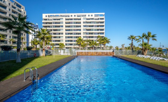 Apartamento - Segunda mano - Torrevieja - Punta Prima