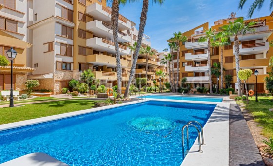 Apartamento - Segunda mano - Torrevieja - SB791