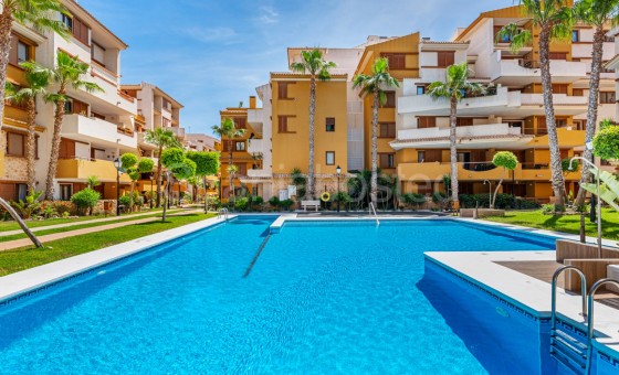 Apartamento - Segunda mano - Torrevieja - SBE780