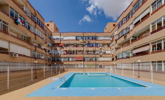 Apartamento - Segunda mano - Torrevieja - Torrevieja