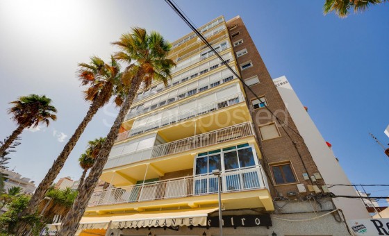 Apartamento - Segunda mano - Torrevieja - Torrevieja