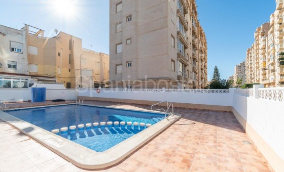 Apartamento - Segunda mano - Torrevieja - Torrevieja