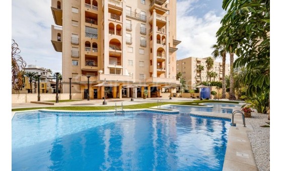 Apartamento - Segunda mano - Torrevieja - Torrevieja