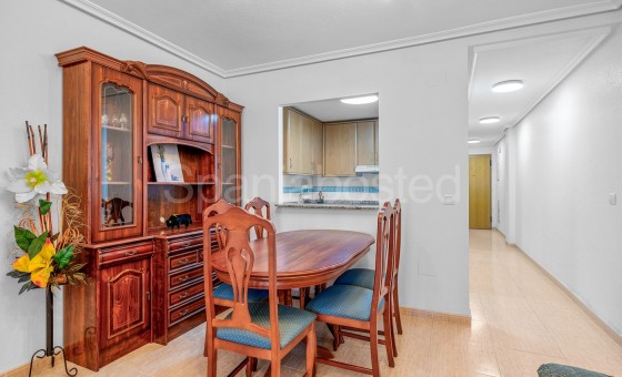 Apartamento - Segunda mano - Torrevieja - Torrevieja