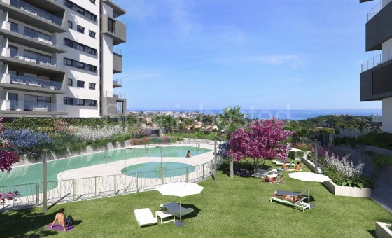 Apartment - New Build - Campoamor -
                Campoamor