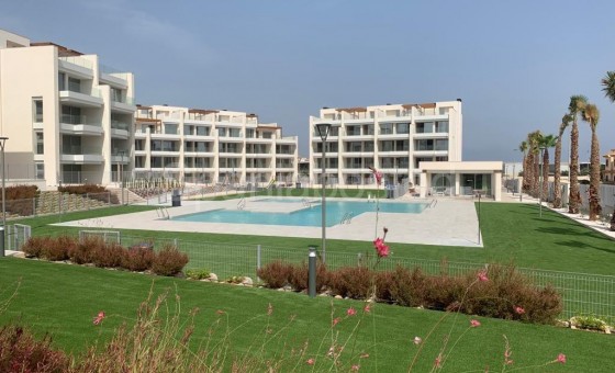Apartment - New Build - Orihuela Costa - GN-23845