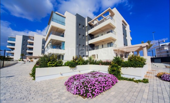 Apartment - New Build - Villamartín - ES-88988