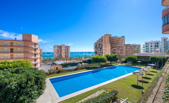 Apartment - Resale - Arenales del Sol - Segunda linea playa