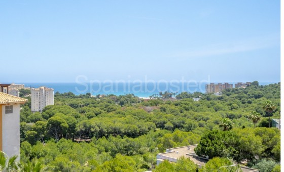 Apartment - Resale - Dehesa de Campoamor - Campoamor