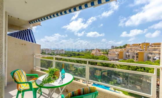 Apartment - Resale - Orihuela - Zona Centro