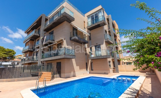 Apartment - Resale - Torrevieja -
                Rocio del Mar