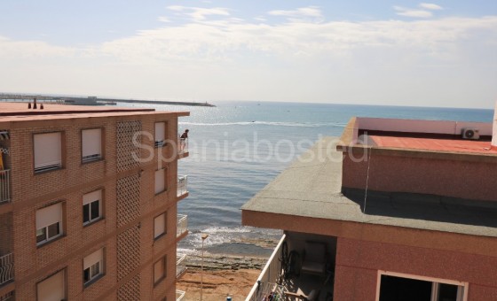 Apartment - Resale - Torrevieja - Torrevieja