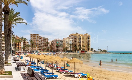 Apartment - Resale - Torrevieja - Torrevieja