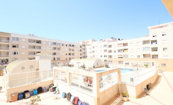 Apartment - Resale - Torrevieja - Torrevieja