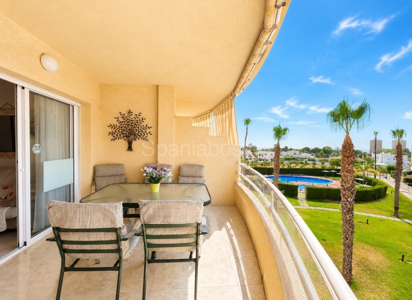 Bruktbolig - Leilighet -
Dehesa de campoamor - Campoamor