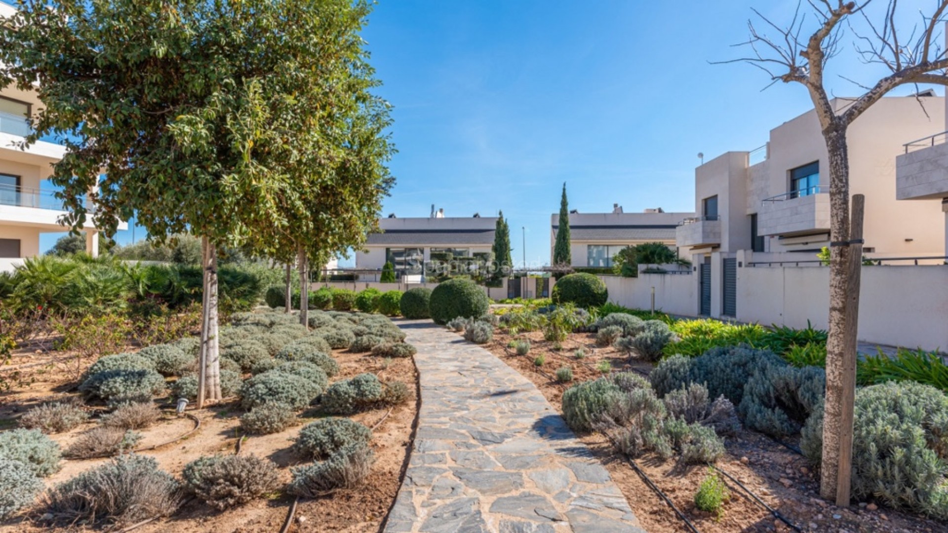 Bruktbolig - Leilighet -
Los Dolses