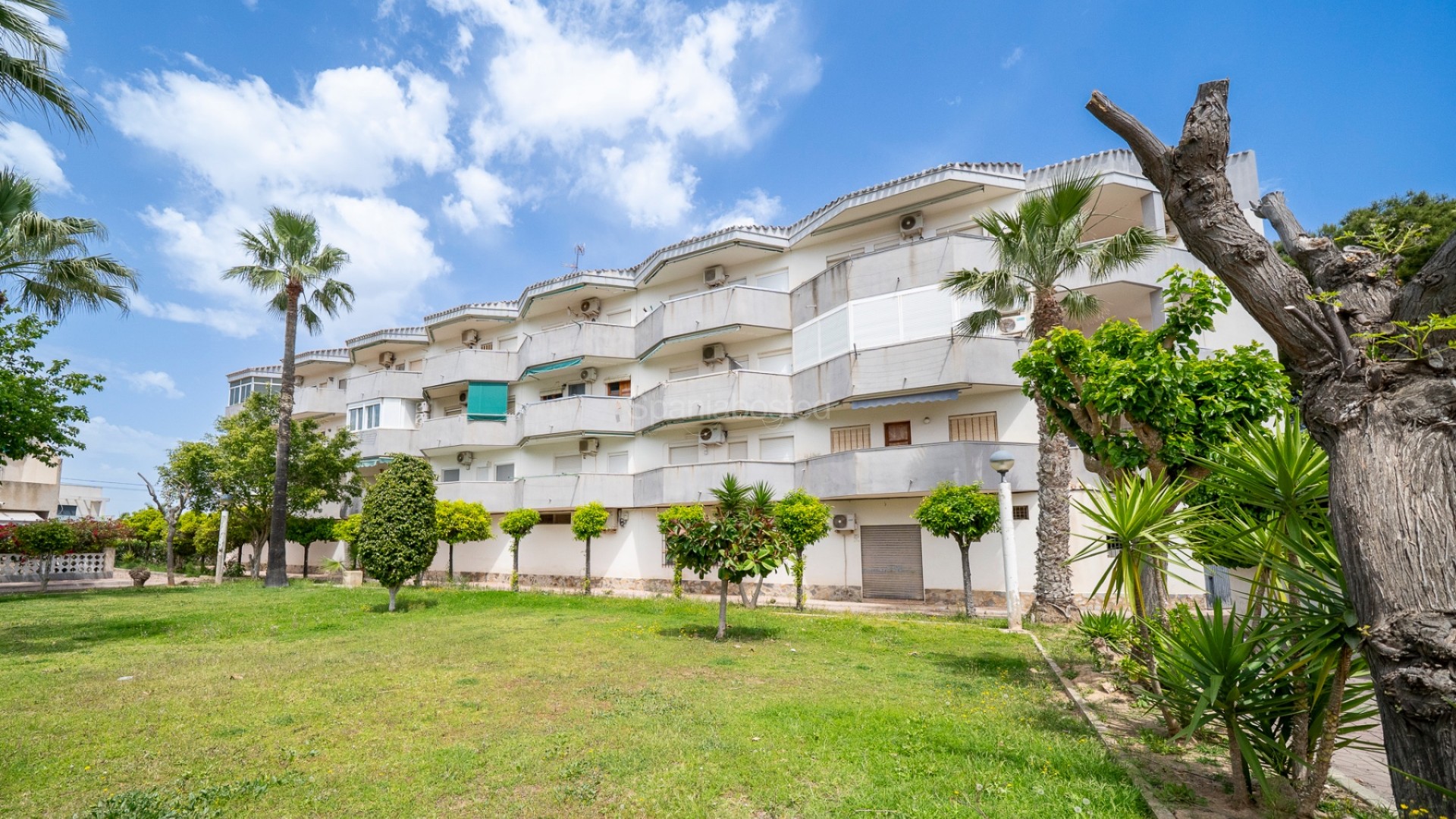 Bruktbolig - Leilighet -
Orihuela Costa - Cabo Roig