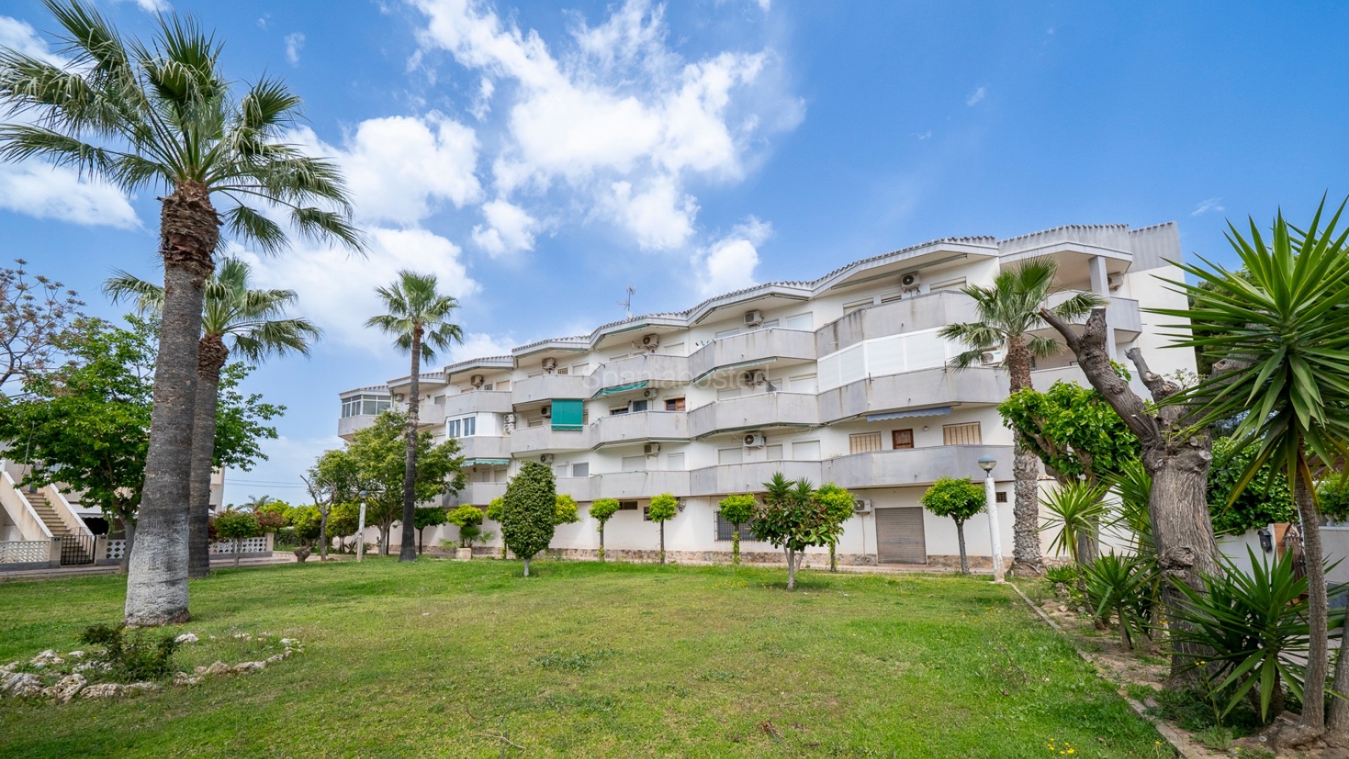 Bruktbolig - Leilighet -
Orihuela Costa - Cabo Roig