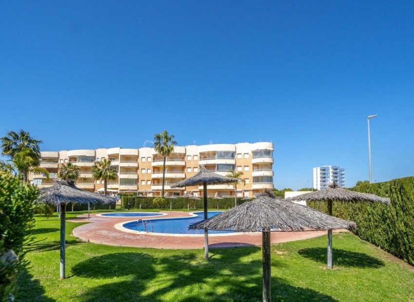 Bruktbolig - Leilighet -
Orihuela Costa - Campoamor