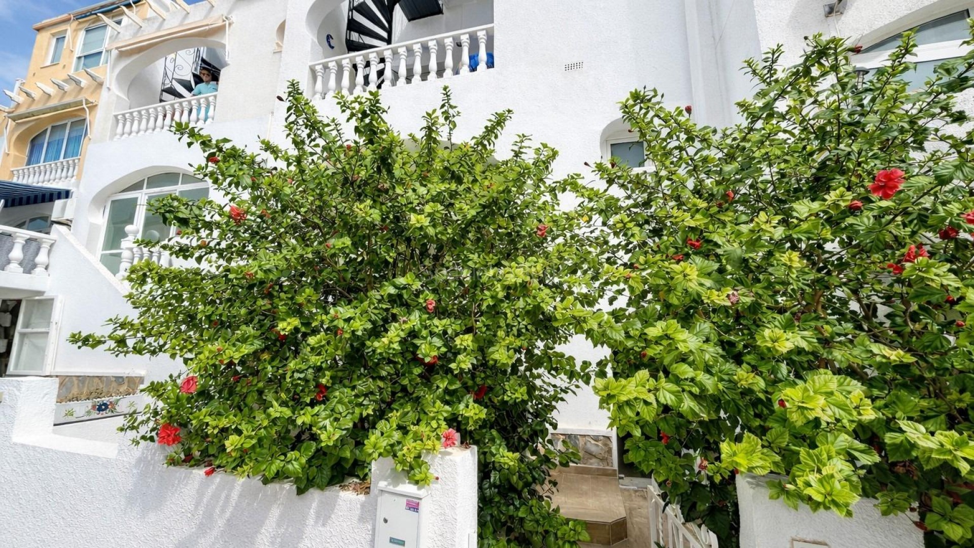 Bruktbolig - Leilighet -
San Miguel de Salinas - Las filipinas