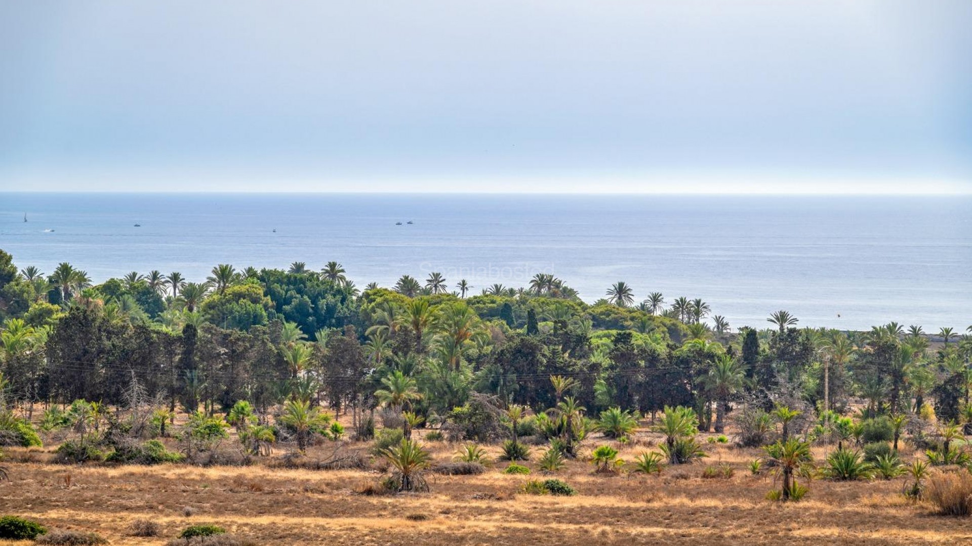 Bruktbolig - Leilighet -
Torrevieja - Punta prima