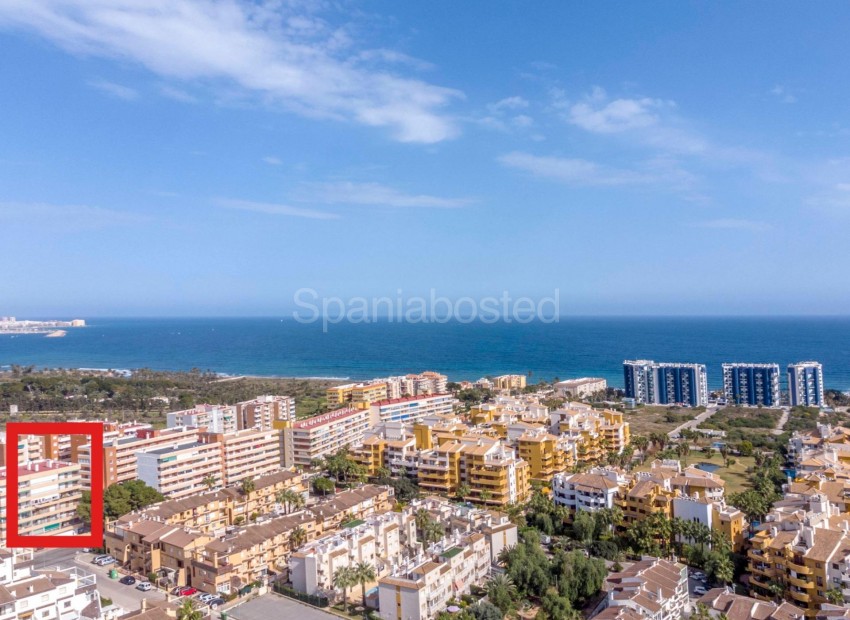 Bruktbolig - Leilighet -
Torrevieja - Punta prima