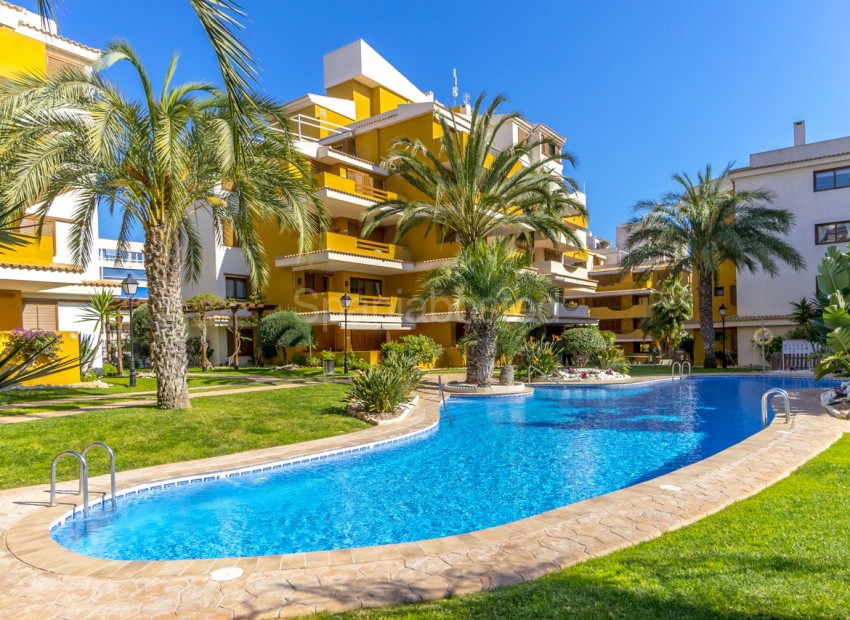 Bruktbolig - Leilighet -
Torrevieja - Punta Prima