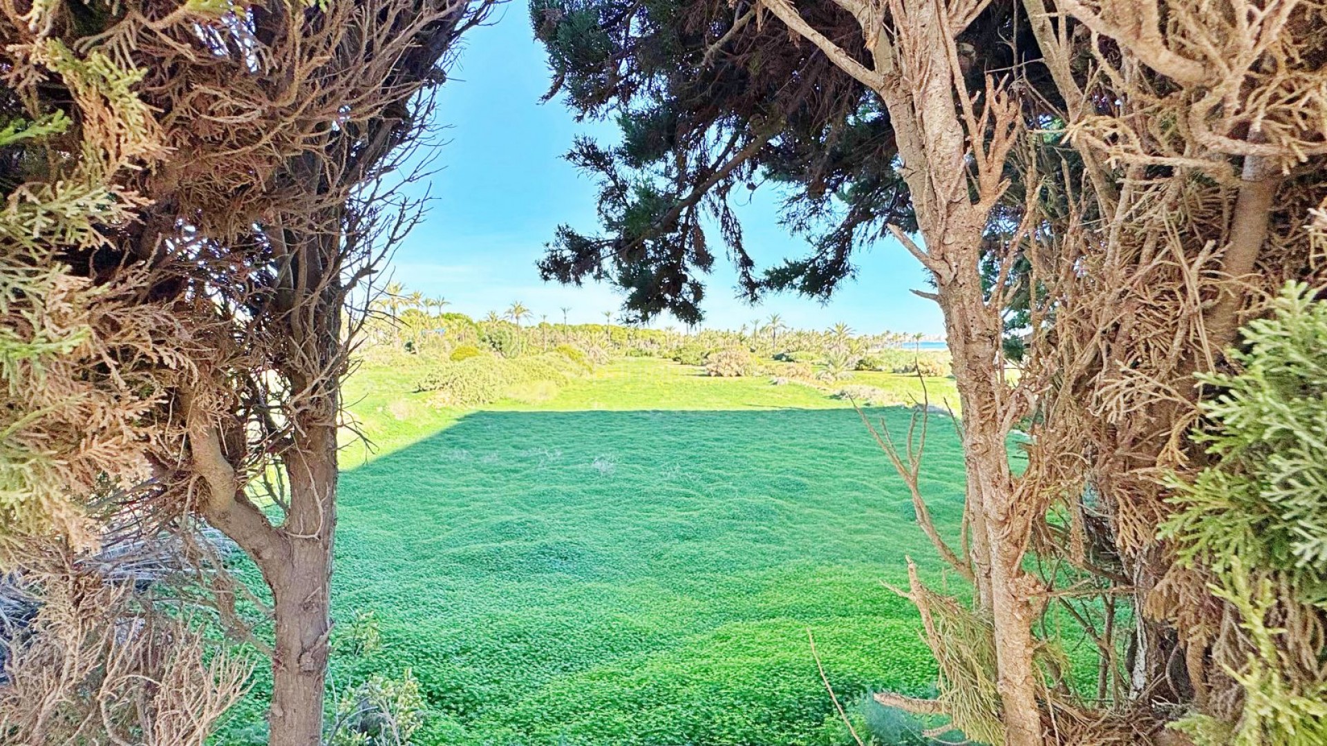 Bruktbolig - Leilighet -
Torrevieja - Rocio del Mar